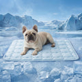 Bedsure ArcticMax™ Cooling Mat for Medium Dogs,Q-Max>0.5 Chill Fiber,29In