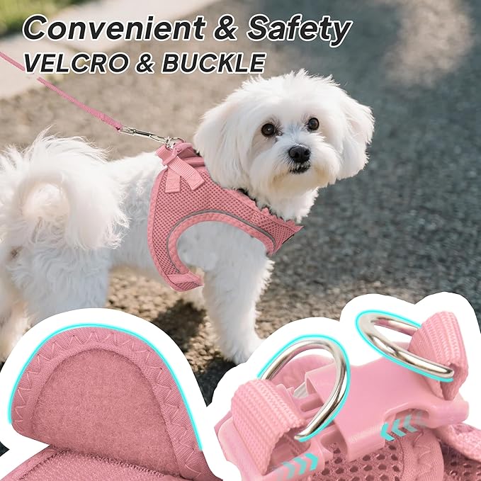 PetiFine Step in Small Dog Harness and Leash Set, Breathable All Weather Air Mesh Reflective Escape Proof, Step-in Vest Harnesses for Puppy(XS, Pink)