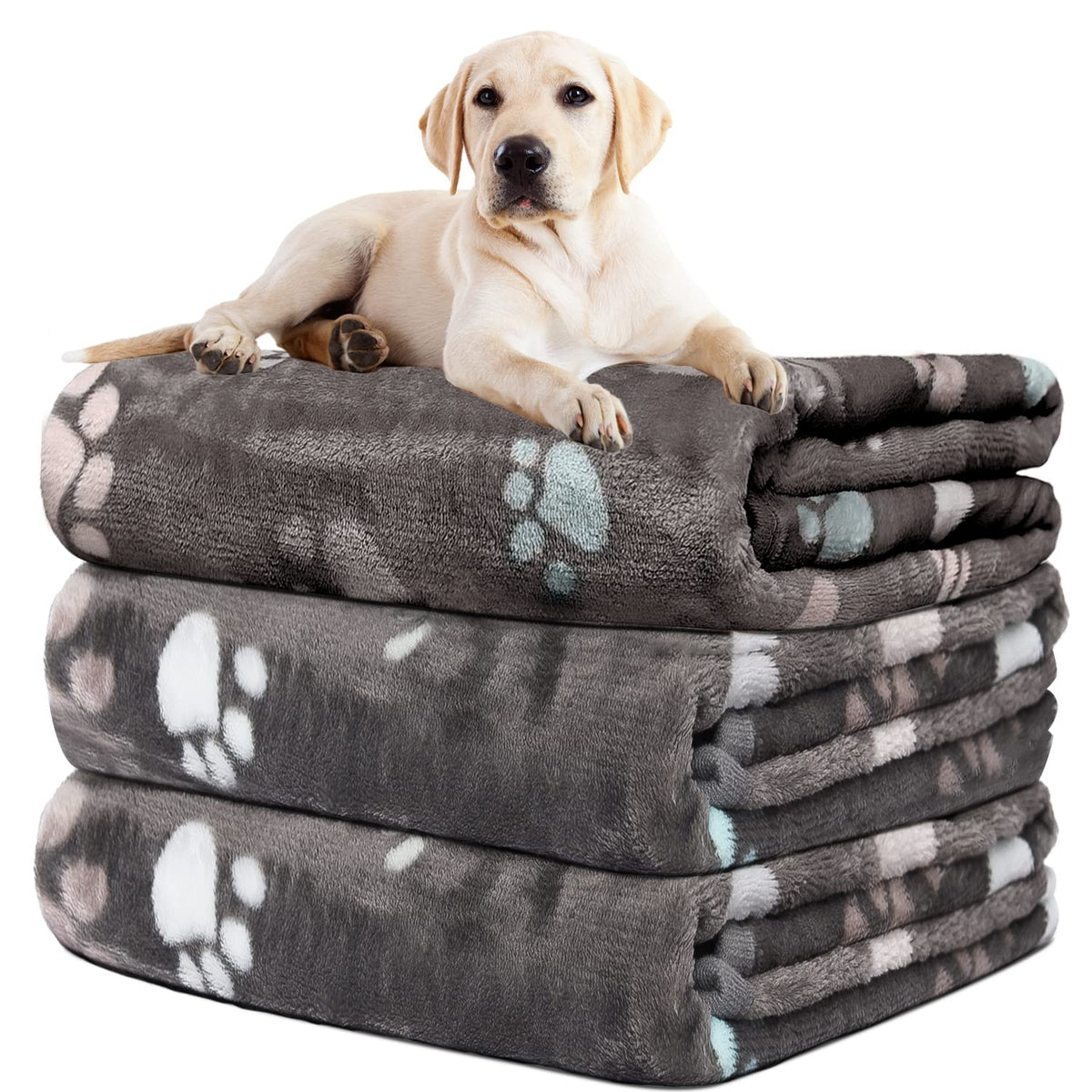 Rezutan 3 Pack Premium Soft Dog Blanket for Medium Dogs Puppy & Cat