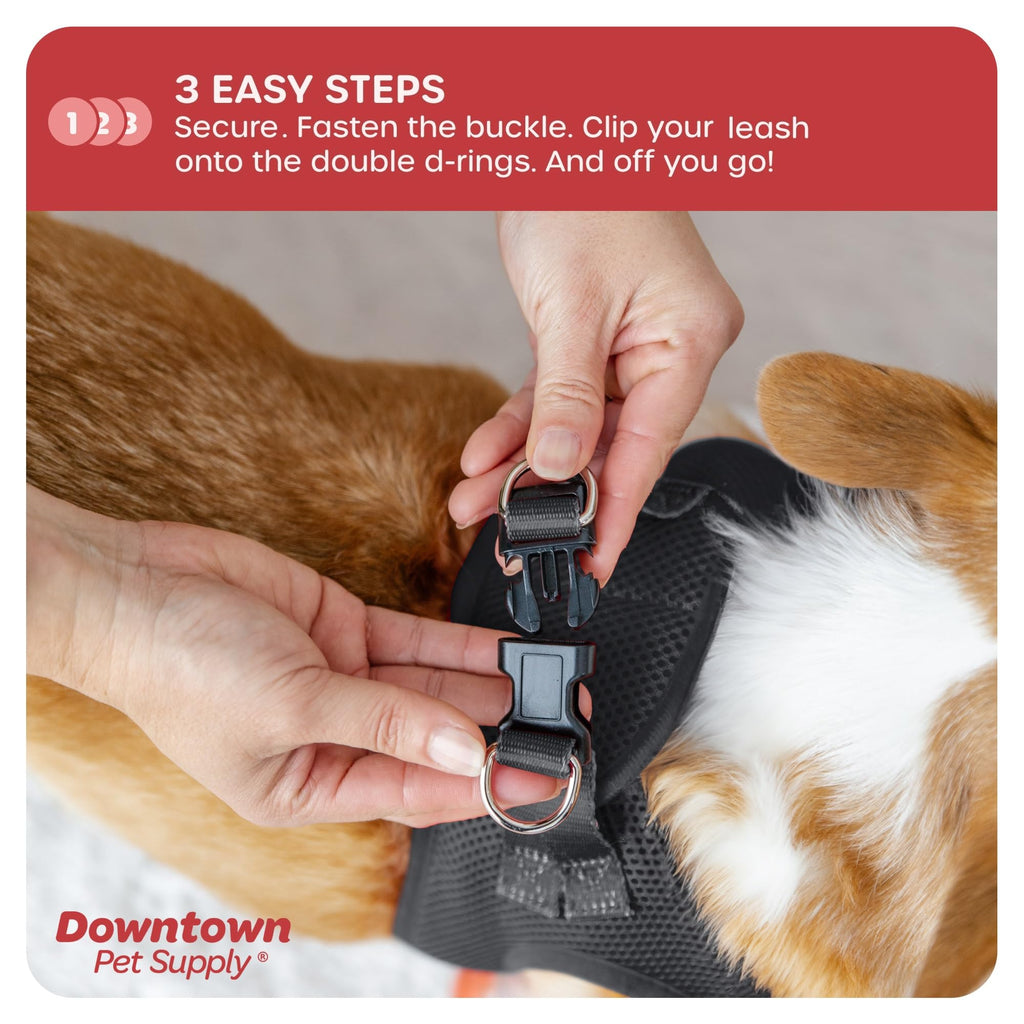 Downtown Pet Supply Step-in Dog Harness – No Pull, Adjustable Padded Mesh with Reflective Trim, Secure Buckle Strap – Comfortable & Breathable Small Dog Harness, Large, Charcoal