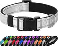 PenSeepet Reflective Dog Collar Padded with Soft Neoprene Breathable Quick Release Basic Dog Collars for Medium Large Dogs Boy Girl Silver