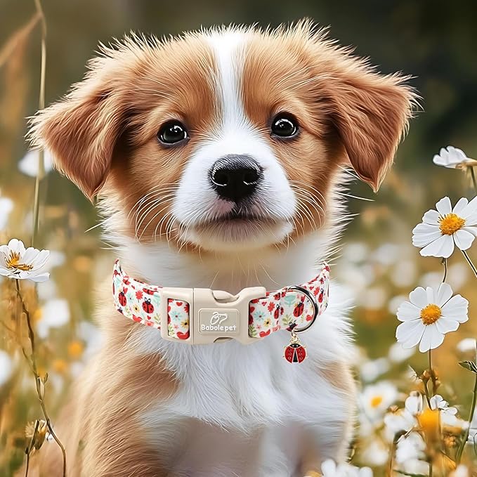 Babole Pet Ladybug Dog Collar for Large Dogs - Cute Spring/Summer Dog Collar, Lightweight Adjustable Cartoon Love Bug Garden Mom Dogs Collars with Quick Release Buckle L
