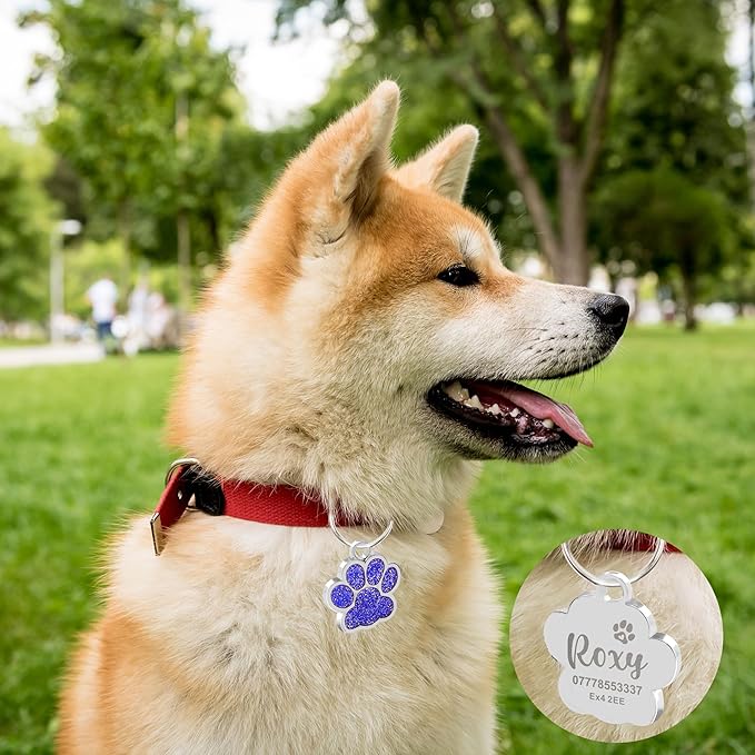 EDSG Cat Dog Tags Personalized for Pets, Dog Name Tags Cat Name ID Tag, Engraved Dog Tags Dog ID Tags Small Glitter Bling ID Tag Paw Print for Cat Pet Dog Puppy(Pink,Design 4)