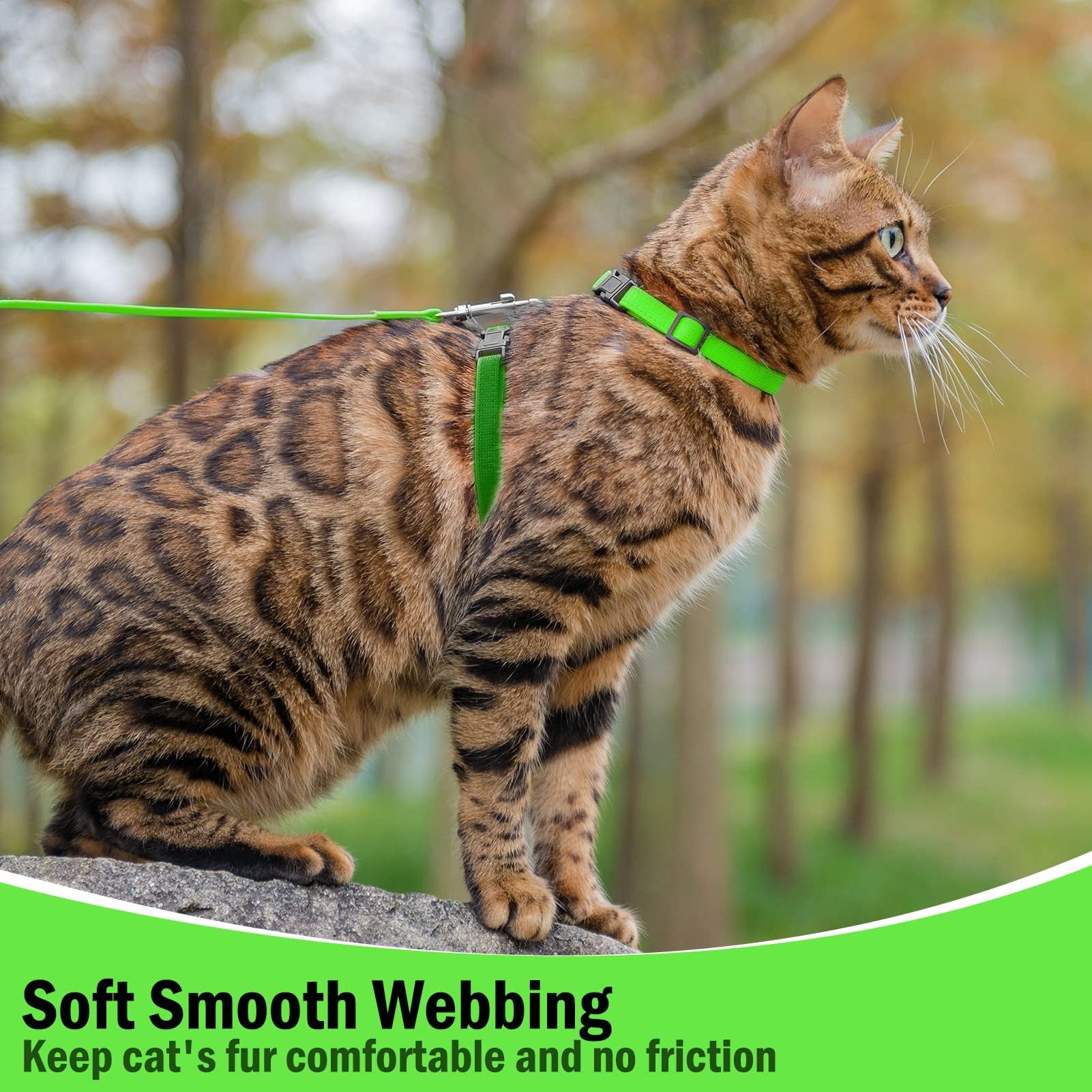 PUPTECK Adjustable Cat Harness and Leash Set Escape Proof Kitten Strap Collar for Walking Travel, Green, M
