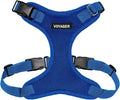 Voyager Step-in Pet Harness - All Weather Mesh, Adjustable Step in Harness for Cats and Dogs by Best Pet Supplies - Royal Blue, L