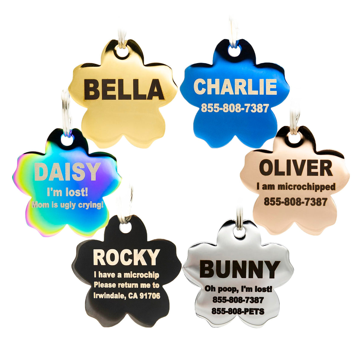 Engraved Dog Tags Personalized - Stainless Steel Engraved Dog Cat ID Tags Front & Back up to 8 Lines of Text Color Plating Gold, Rose Gold, Blue, Black, Nebula by PetANTastic