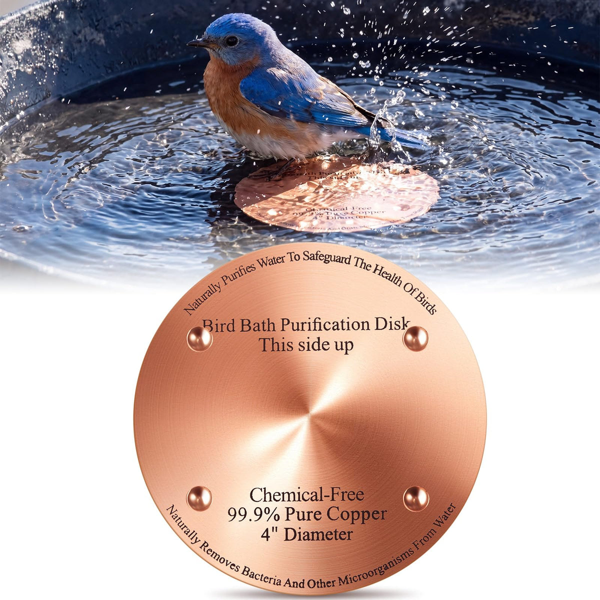 MorningRo 4 Pcs 4" Bird Bath Copper Disk, 0.6mm Thick