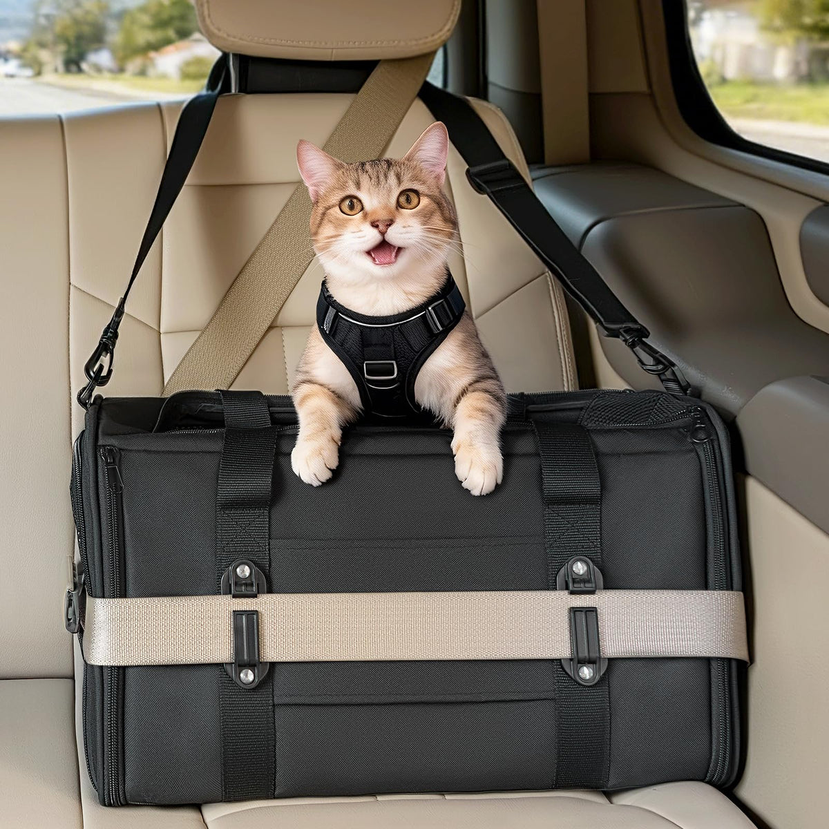 PETSFIT Large Cat Car Carrier,19 x 12 x 12
