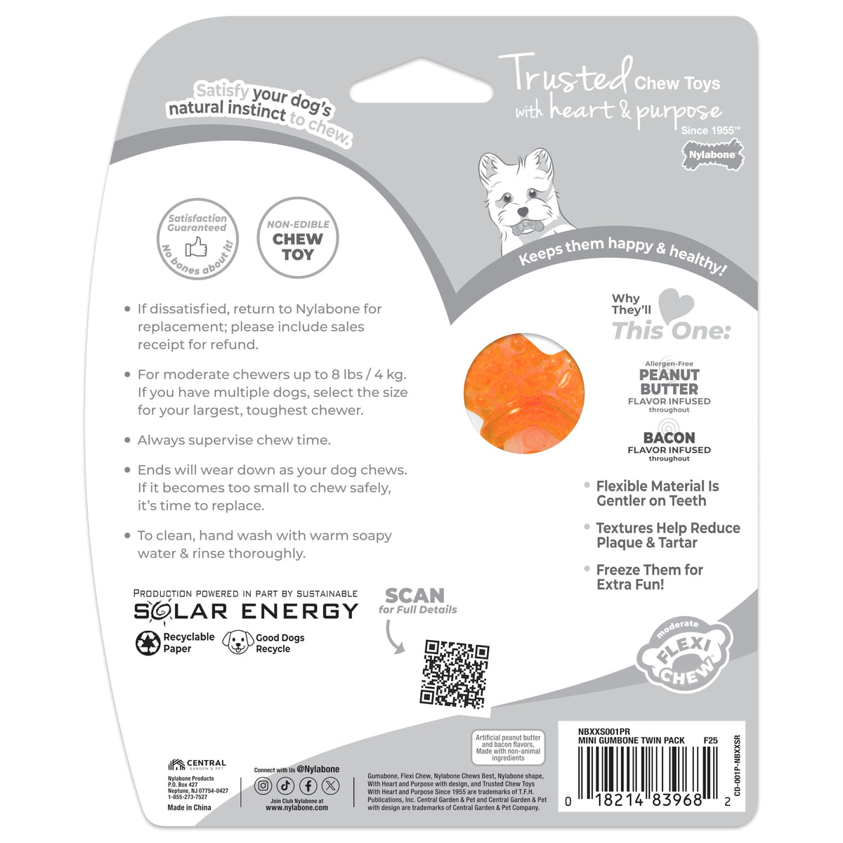 Nylabone Flexi Chew Tiny Gumabone Dog Chew Toys, XX-Small, 2 Count