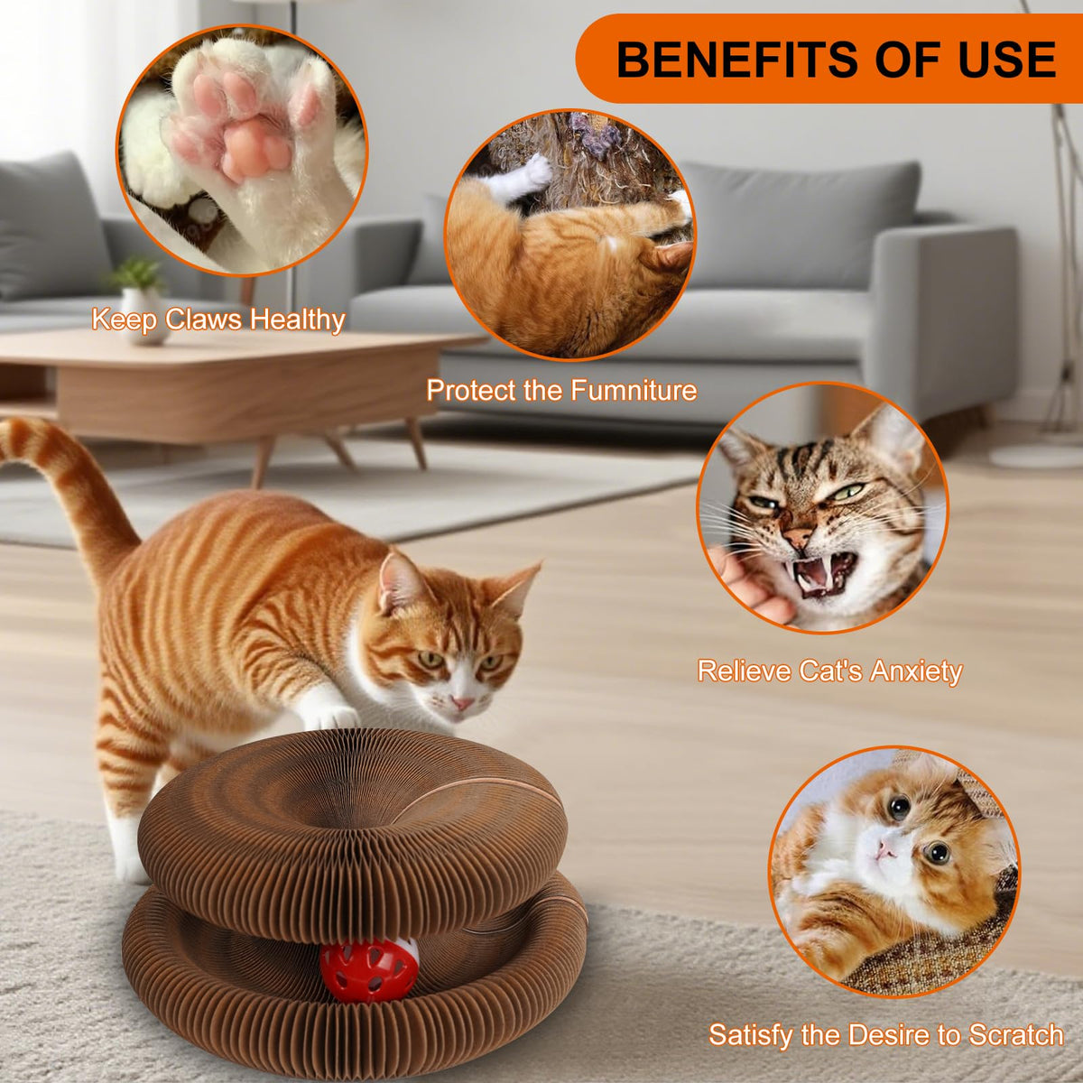 2Pcs Kitty Kurlz Cat Toy Magic Organ Cat Scratch, Kitten Cats Accordion Toy