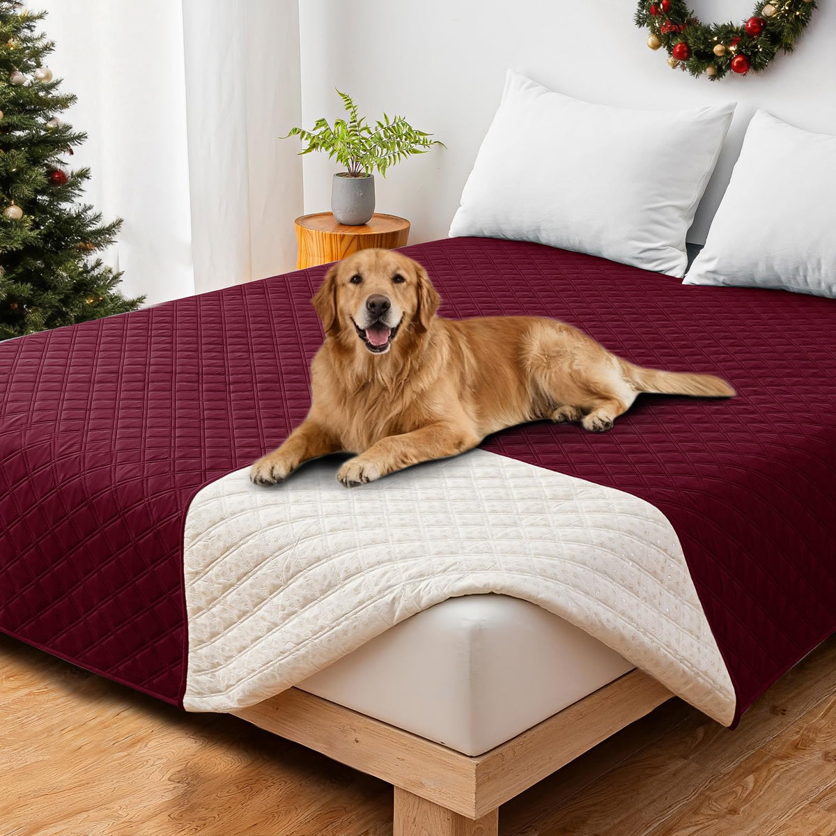 CYCMACO Waterproof Couch Covers for Pets, Waterproof Dog Bed Cover, Anti-Slip Soft Dog Blankets, Couch Cover for Dogs Washable, Pet Blanket for Puppy Large Dogs Cat (68x82 Inch, Beige)