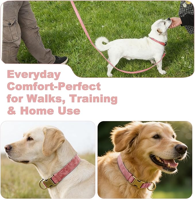 Genuine Leather Dog Collar - Adjustable Pet Collar with Quick Release Metal Buckle, Soft Skin Friendly Real Leather Collar for Small, Medium, Large Dogs (Pink, M：Fit 12-20" Neck)