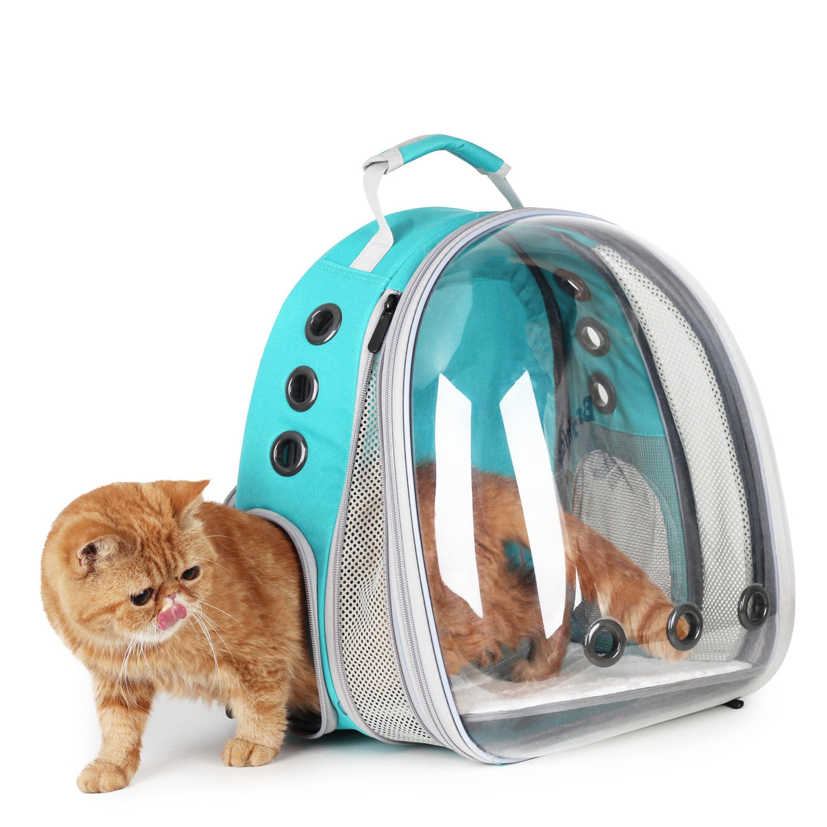 Lollimeow Expandable Bubble Cat Carrier Backpack, Supports up to 16 lbs