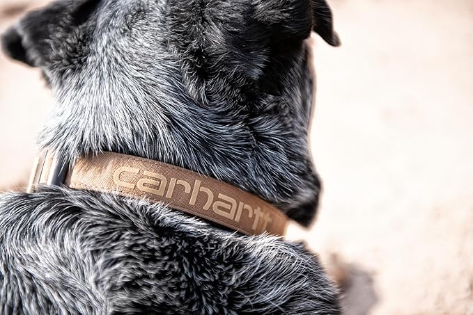Carhartt Nylon Duck Dog Collar, Fully Adjustable Durable 2-Ply Cordura Nylon Canvas Collars for Dogs, Carhartt Brown, Medium
