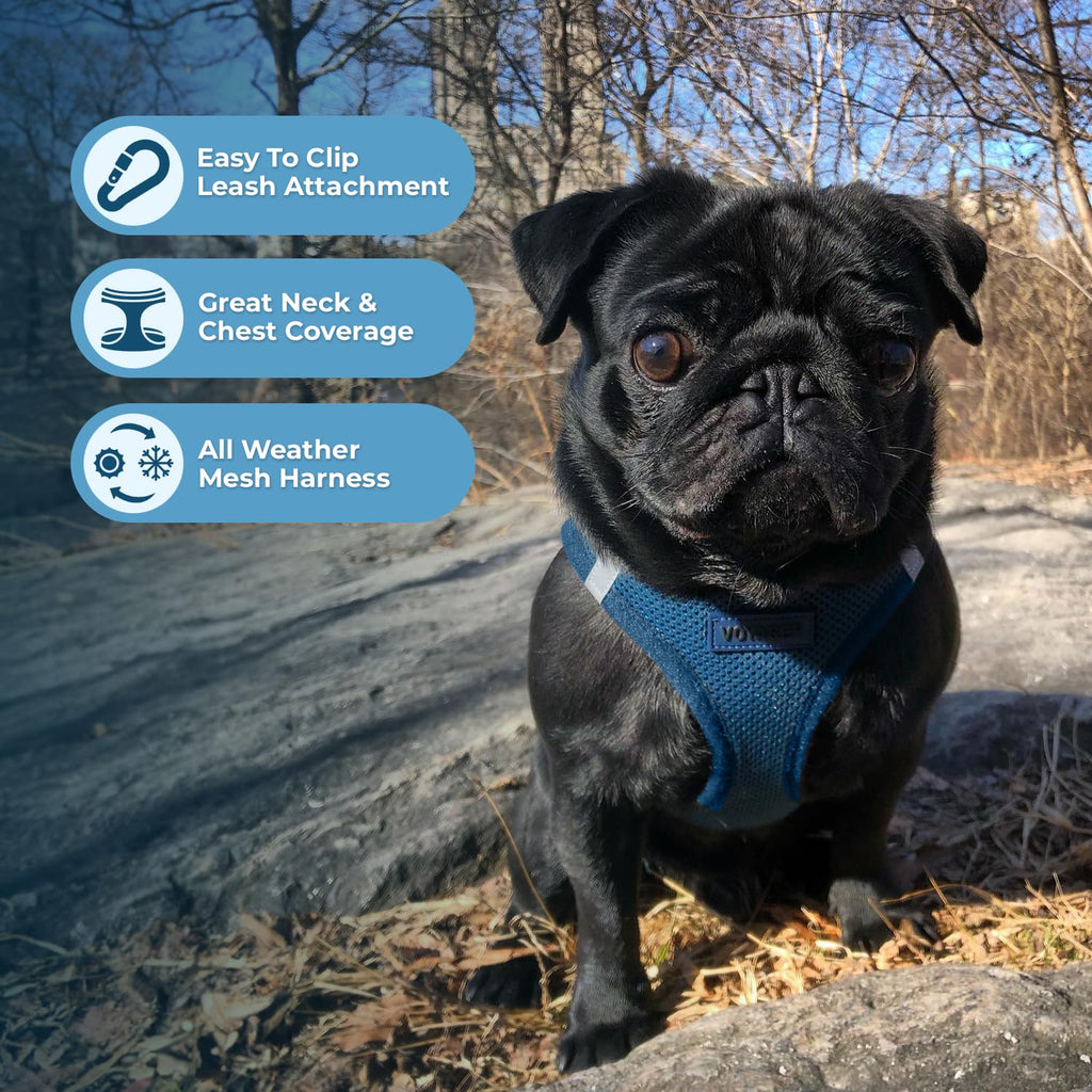 Voyager Step-in Air Dog Vest Harness - Blue, X-Large