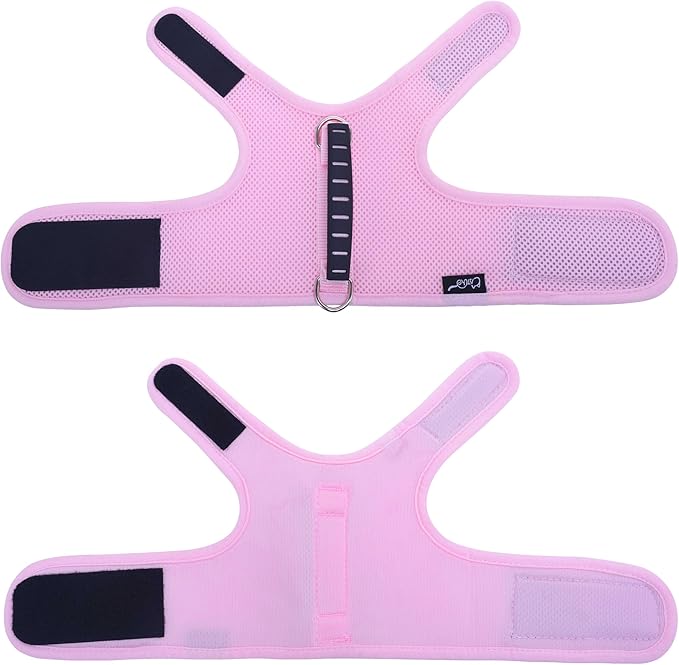 Cat Harness and Leash Set for Walking Escape Proof, Pink, XX-Large