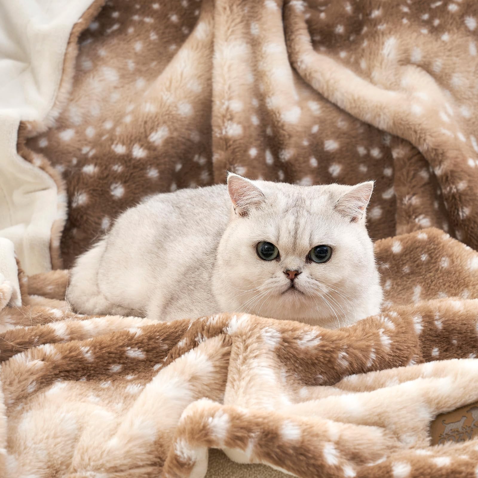 COZY KISS Waterproof Pet Blanket Deer Print for Large Dog & Cat, 30x40 inch