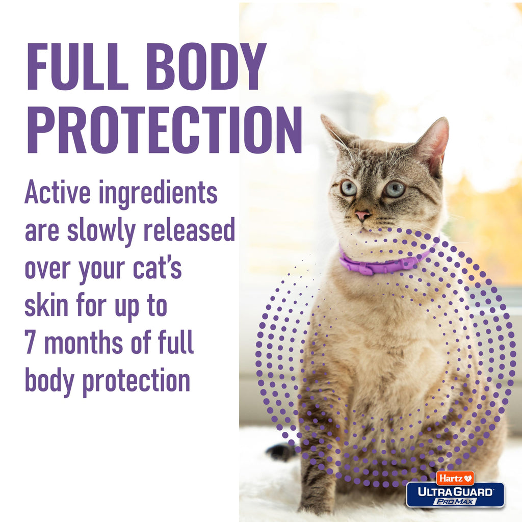 Hartz UltraGuard ProMax Flea & Tick Collar for Cats & Kittens I 14 Months Protection I Soft & Comfortable | Kills Fleas, Ticks, and Larvae I 2 Pack