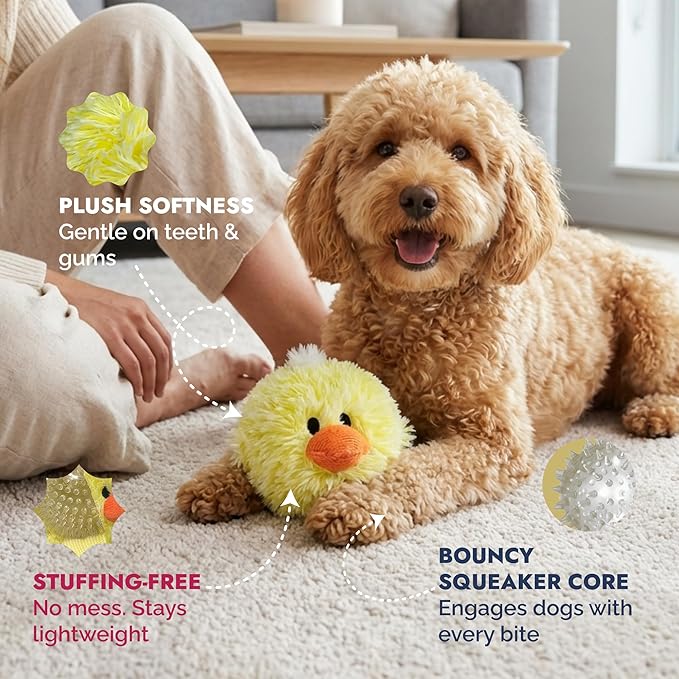 PetLou D.O.G'Z 4-inch EZ Squeaky Chick Dog Plush Toy,Durable Squeaks Bouncy Ball Dog Toy
