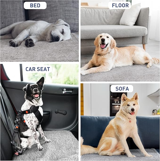 Kritter Planet Waterproof Reversible Pet Blanket for Small Dogs