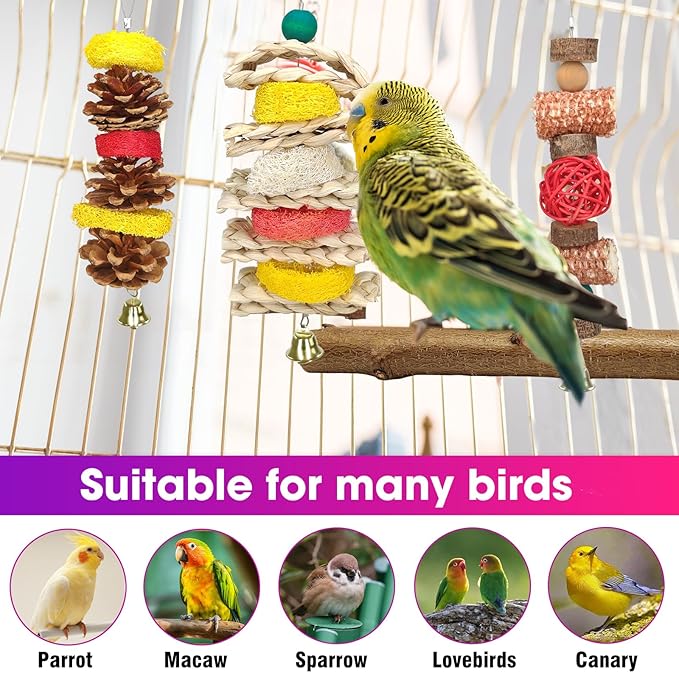 JOREWOOD 7 Pcs Natural Wood Bird Toy & Perch for Parakeets, Cockatiel & Lovebird, Budgie Play Accessory for Small Parrots Indoor Cage
