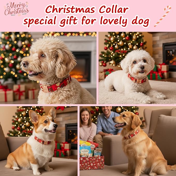 Astdogio Christmas Dog Collar，Soft Cotton Dog Collars for Medium Dogs, Dog Christmas Collar with Santa for Small Medium Large Dogs, Adjustable Red Collars Perfect for Girl or Boy Dog Collars-M