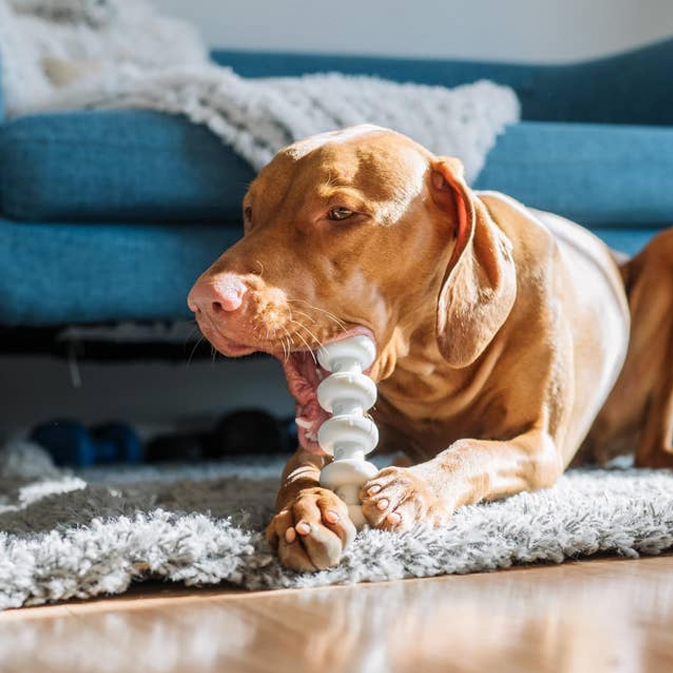 Spunky Pup Clean Earth Recycled Stick | Made in USA | Made from 100% Recycled Water Bottles, Gray