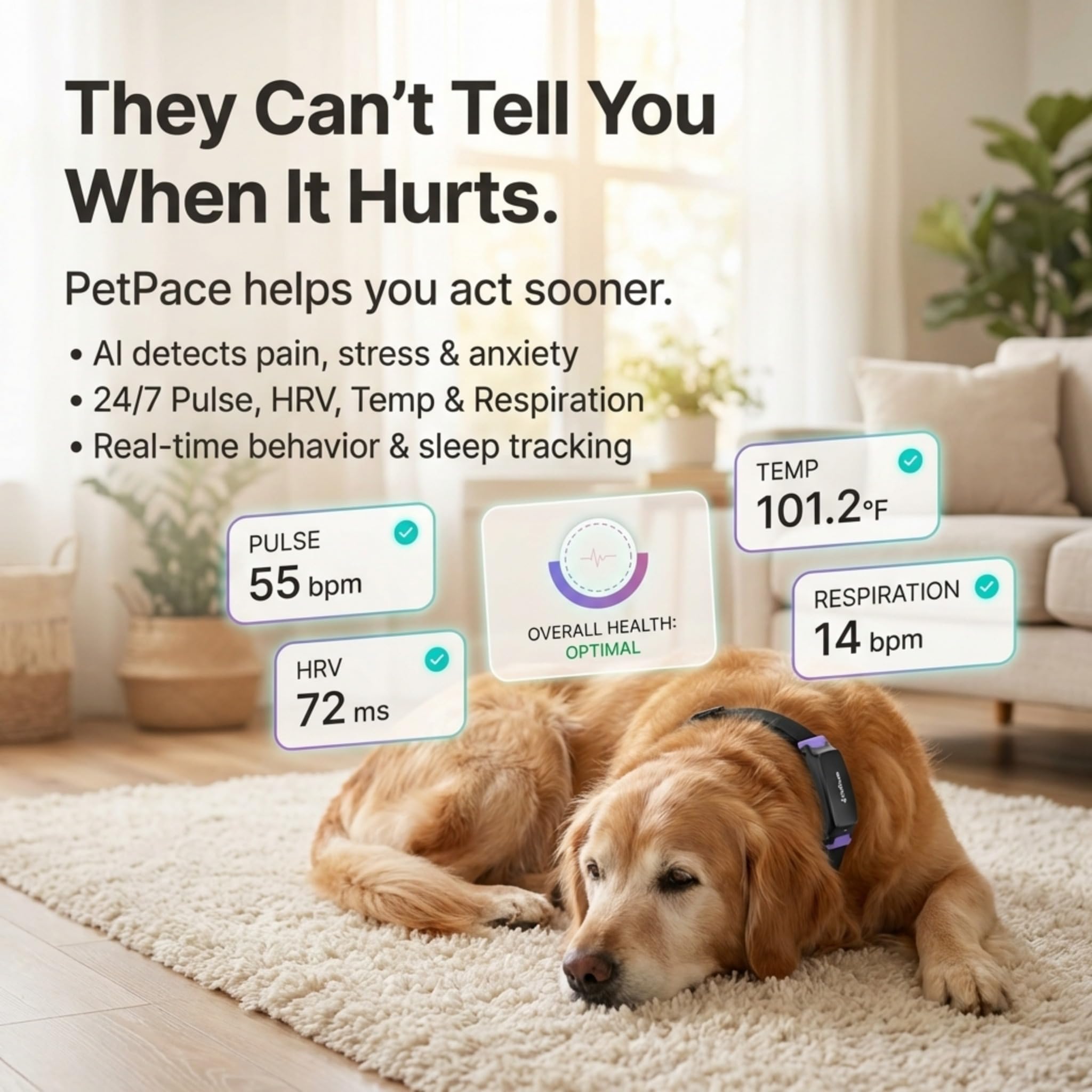 NEW Dog Health Monitor V3.0 by PetPace – AI Smart Collar with 24/7 Vital Signs, Pain & GPS Tracking, Telehealth AskaVet & Share With Your Vet, Smartwatch Sync – Subscription Required (Small)