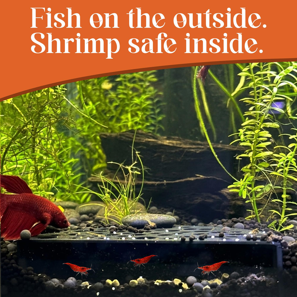 CTWPets Shrimp Breeding Protector, Shrimp Hide Tunnel, White