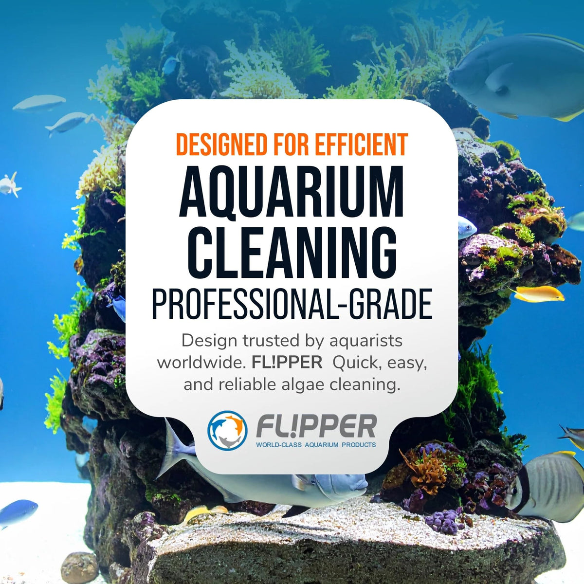 FL!PPER Pico Aquarium Glass Cleaner - Magnetic Fish Tank Cleaner, Scrubber & Scraper, Algae Remover, Aquarium Cleaning Tools