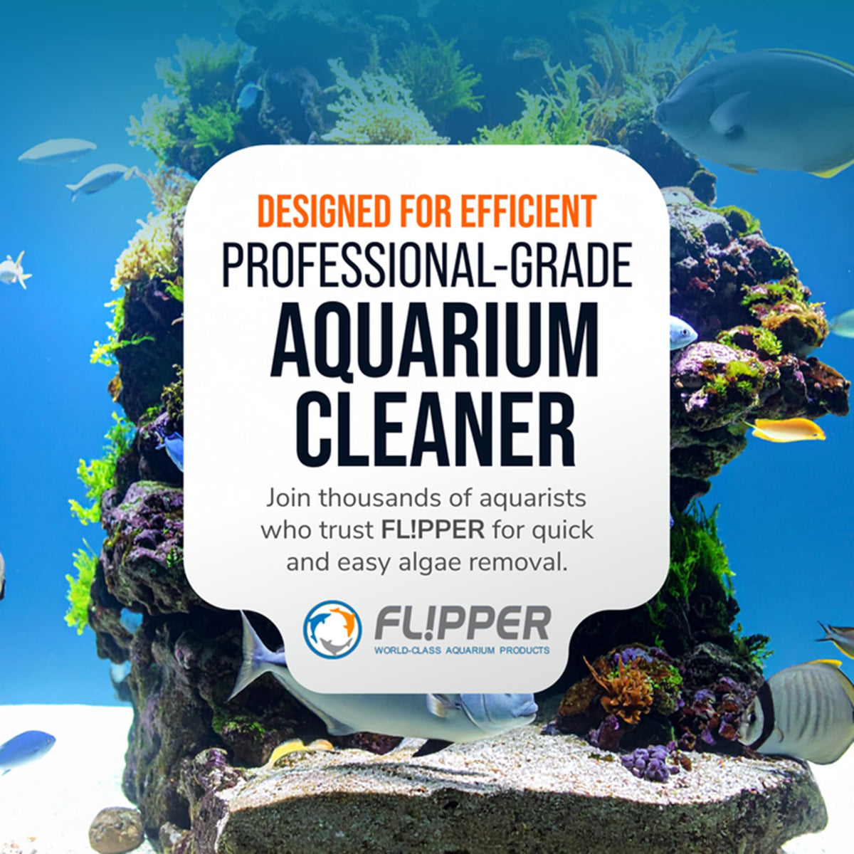 FL!PPER Magnetic Aquarium Cleaner - Acrylic Replacement Blades for Acrylic tanks Standard up to 1/2" - 3 Pack
