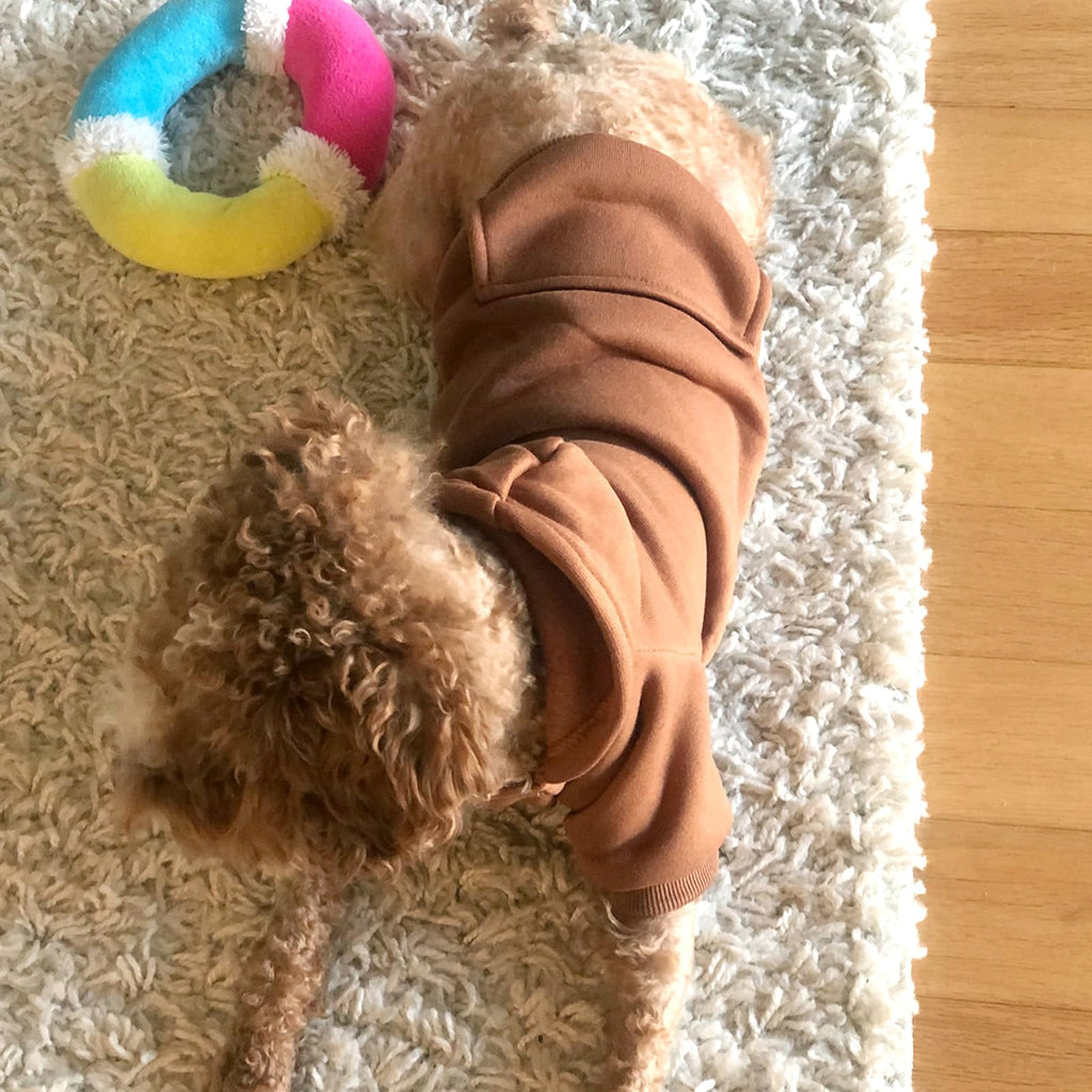Soft Dog Hoodies for Small Dogs, Warm Fleece Puppy Clothes with Pocket