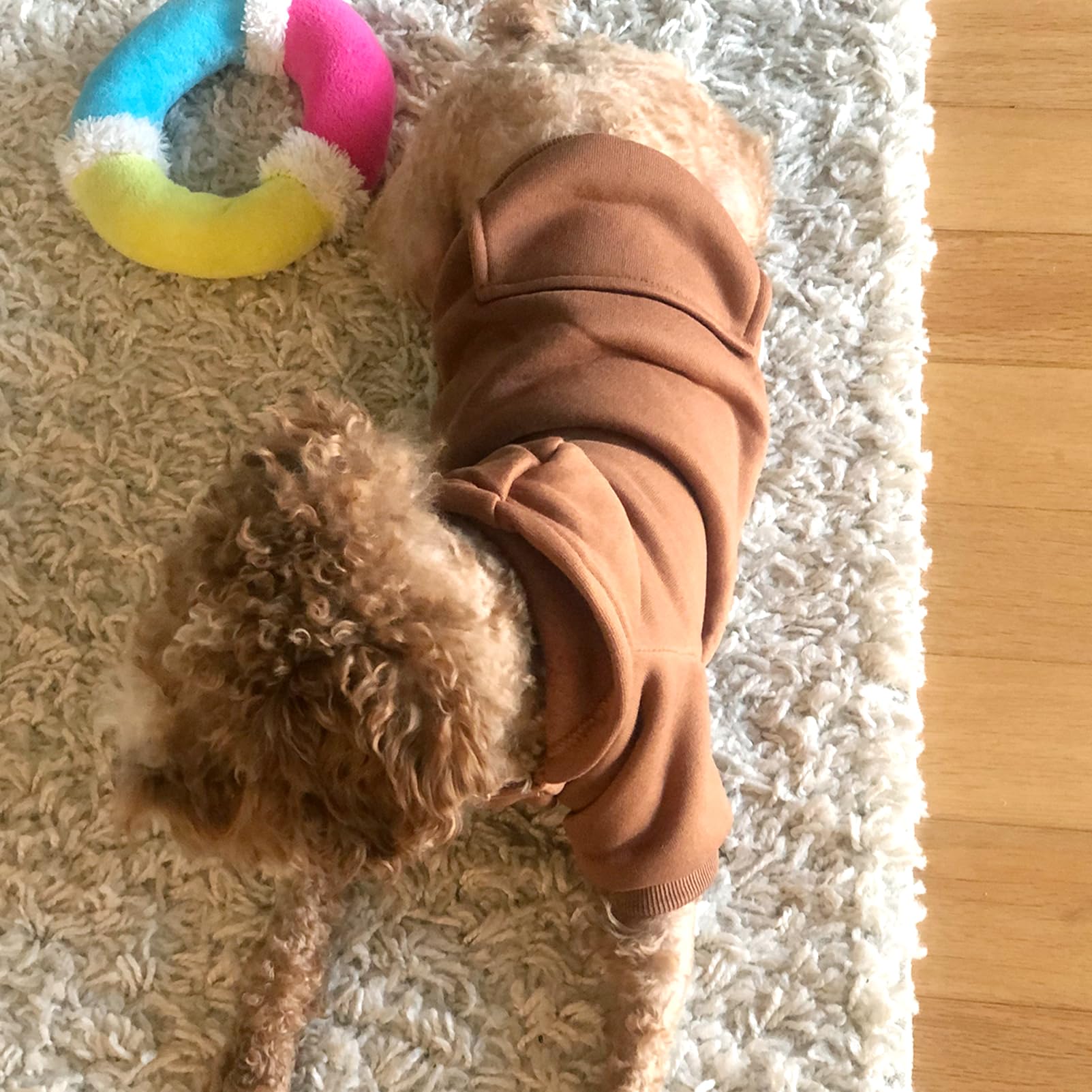 Soft Dog Hoodies for Small Dogs, Warm Fleece Puppy Clothes with Pocket