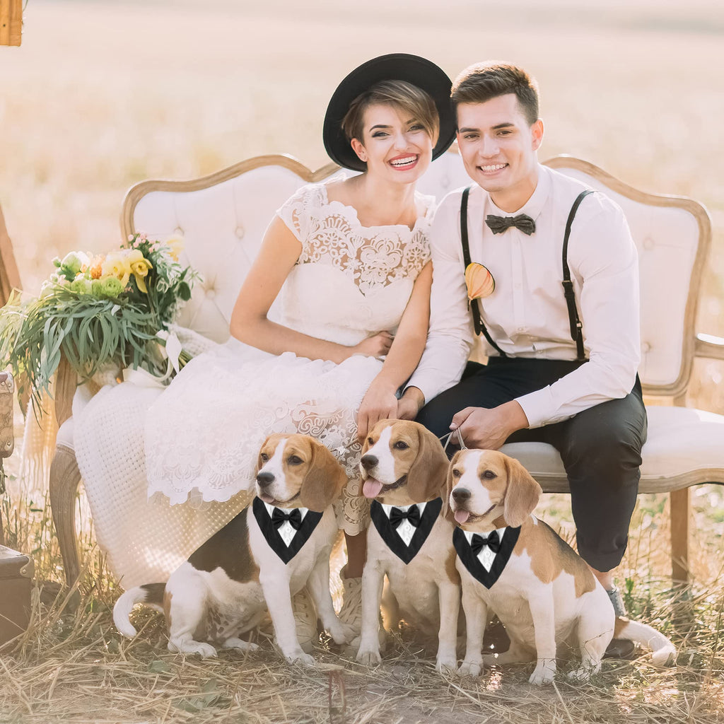 ADOGGYGO Dog Tuxedo Bandana, Wedding Birthday Dog Bow Tie, Black, Large