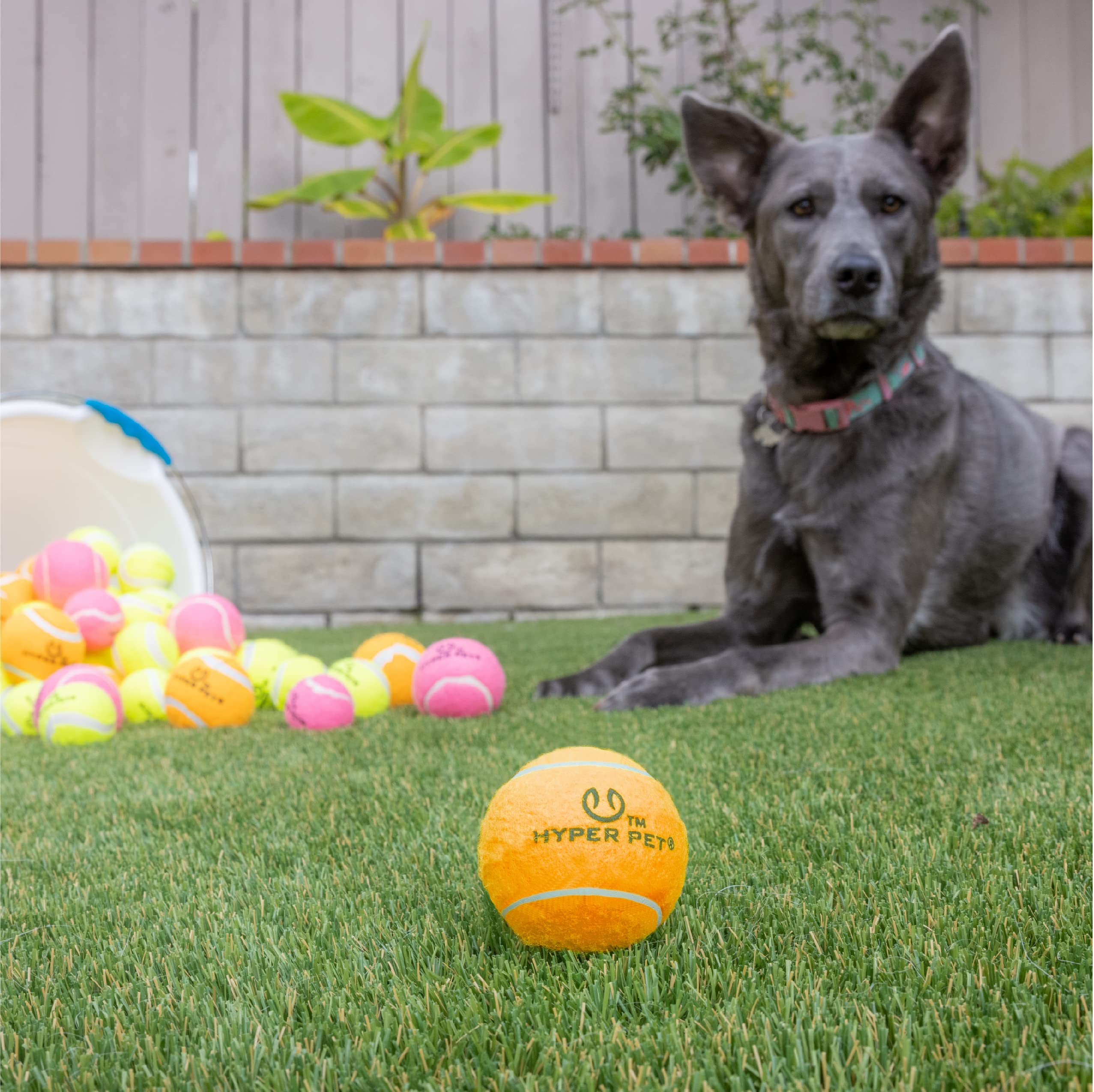 Hyper Pet MINI Tennis Balls for Dogs Safe Dog Toys & Tennis Balls for Exercise, Training, Hyper Pet K9 Kannon Dog Ball Launcher) Bright Colored Interactive Orange Pack of 4