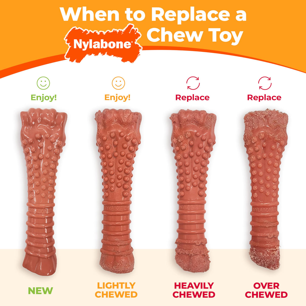 Nylabone Power Chew Ring Bone Dog Chew Toy, Flavor Medley, X-Small