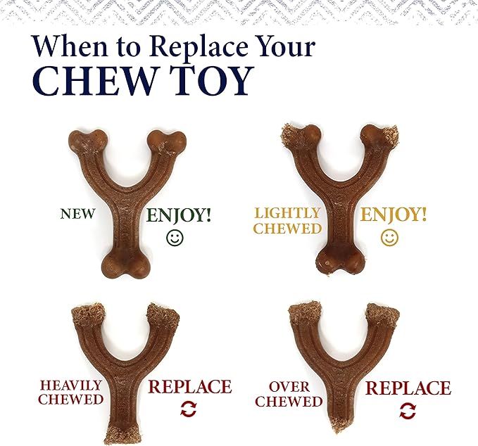 Nylabone Gourmet Style Wishbone Strong Chew Toy for Dogs, Chicken Flavor, Small - Up to 25 lbs, 1 Count