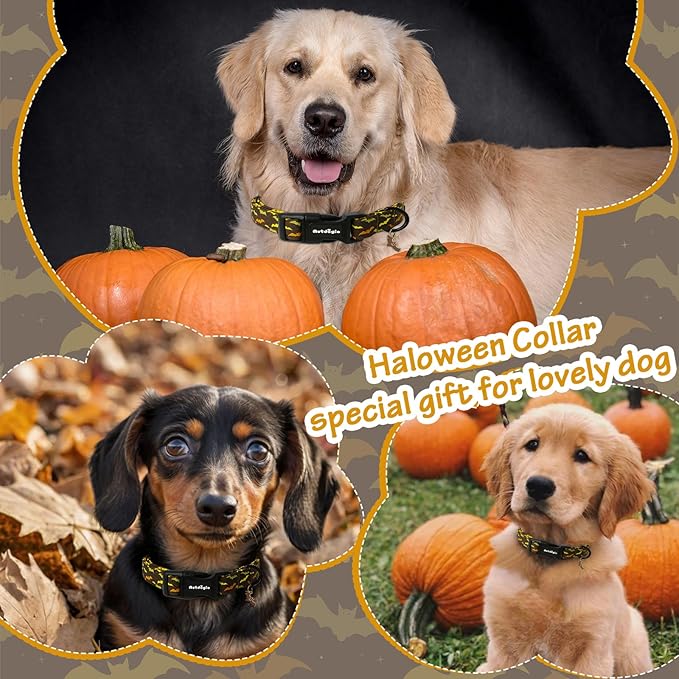 Astdogio Fall Dog Collar, Halloween Dog Collars for Small Dogs, Cotton Puppy Collar with Bat Pattern, Pet Collar for Small Medium Large Dogs, Girl Boy Dogs Collar with Quick Release Buckle-S