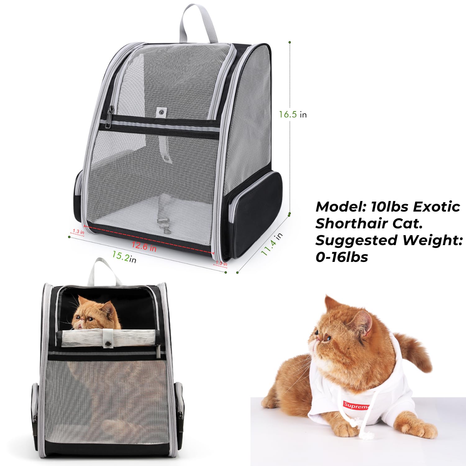 Lollimeow Cat Backpack Carrier, Ideal for Small Animals & Puppies, Airline Approved,Safe for Travel, Hiking, Vet Transport & Outdoor Use Fully Ventilated Design for Ultimate Comfort On-the-Go