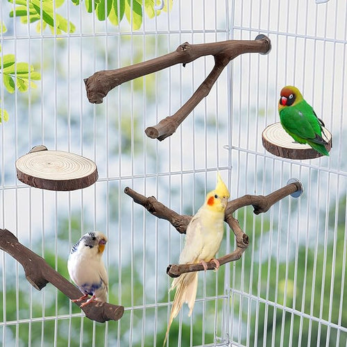 5PCS Bird Perch Natural Wood Grape Stick Stand Chewing Exercise Branches