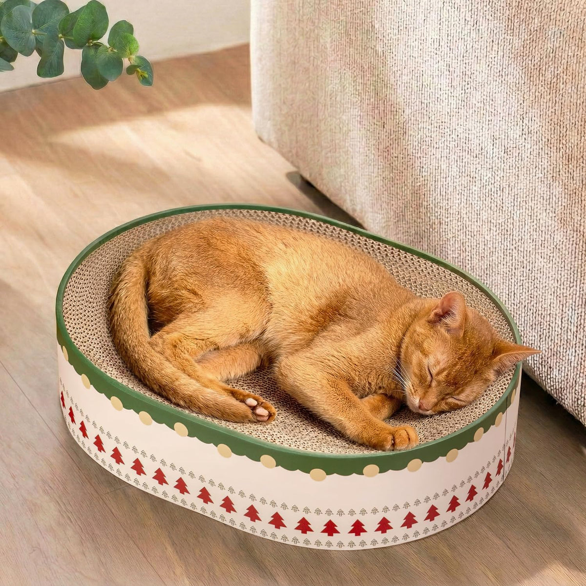 Conlun Oval Cat Scratcher Bed | Scratching Bowl Lounge for Kittens | Medium