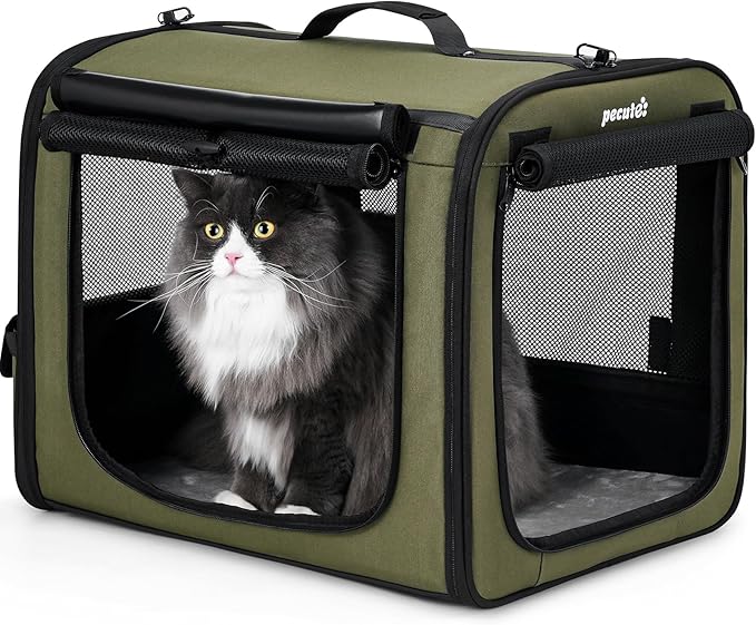 Dog Car Carrier Light Weight 19.7×16.9×14.8in, Foldable Dog Carrier, Green