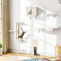 NUNU LAB Cat Wall Shelves Set, 5 Pcs Wall-Mounted Cat Climber with Cat House, Bridge, Scratching Post, Hammock, Wall Shelves, Beige
