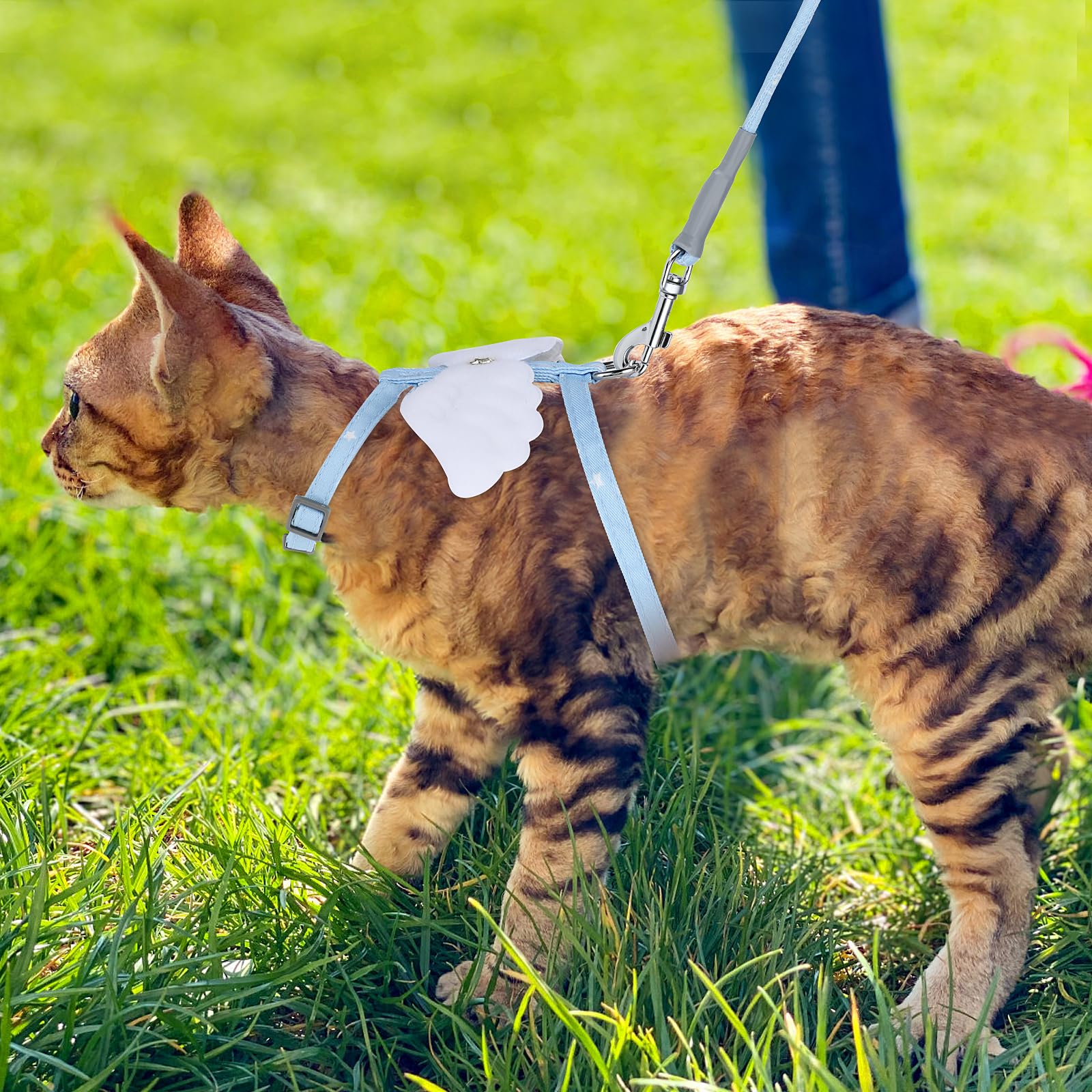 TIESOME Cat Harness and Leash Set, Adjustable Gradient Kitten Harness