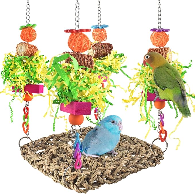 ERKOON Cockatiel Toys, Budgie Toys Foraging Toy Hanging Bird Toy for Lovebrid Parakeets Conures Parrot Foraging Wall with Colorful for Birds Shredding Seagrass, Birds Cage Accessories-2 Pack