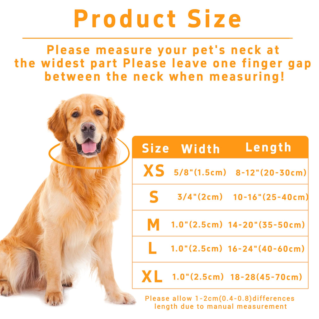 Seyezo Dog Collar, Classical Indian Spirit, Orange, S