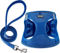 BOOMIBOO Dog Harness with Leash Set, No Pull Adjustable Reflective Step-in Puppy Pet Vest Harnesses for Small Medium Large Dogs and Cats,Blue XS