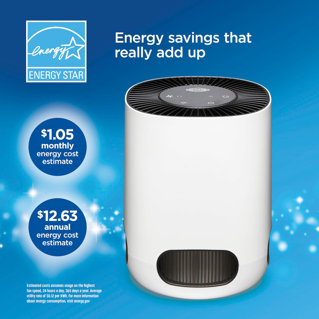 Clorox Small Room Air Purifiers for Bedroom Home, True HEPA Filter