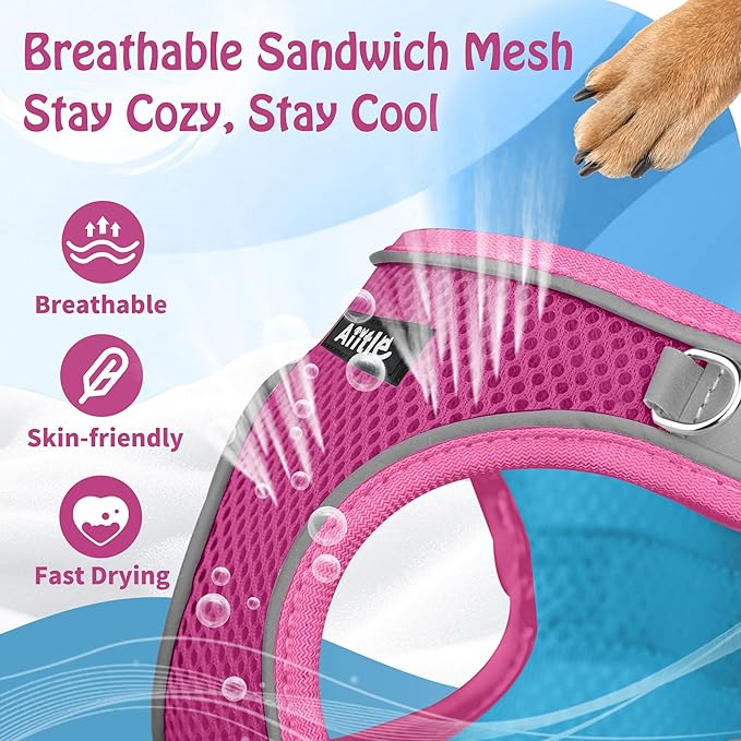 AIITLE Comfortable Dog Harness and Leash Set for Walking - Step in Vest Harness,Reflective Bands, Adjustable No Pull Puppy Essentials, for Small Dogs and House Cats Hot Pink XS