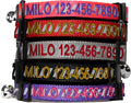 Pawtitas Personalized Black Reflective Cat Collar – Adjustable Custom Collar with Safety Buckle, Removable Bell, and Engraved Name & Phone Number for Kittens and Adult Cats
